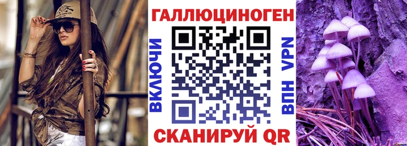 закладка  Шелехов  mega ONION  Псилоцибиновые грибы Psilocybe 